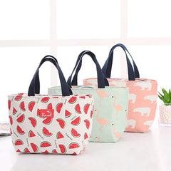 Insulation Portable Lunch Bag for Girls Boys Travel