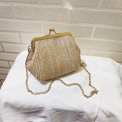 Summer Women Lady Wild Mini Square Straw Bag Messenger Bag