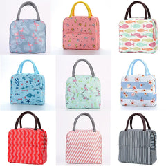 Insulated Lunch Bag for Women Kids Cooler Bag Thermal Portable Lunch Box