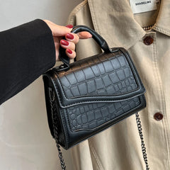 Small Stone Crossbody Sling Bags for Women Winter Trends