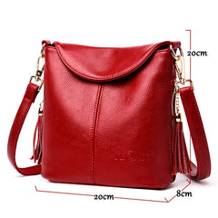 Tassel Crossbody Bags for Women Shoulder Bags Messenger Bags