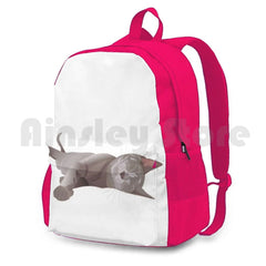 Sleepy Cat Outdoor Hiking Backpack Waterproof Camping Travel Lazy Cat