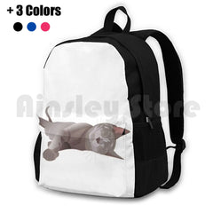 Sleepy Cat Outdoor Hiking Backpack Waterproof Camping Travel Lazy Cat