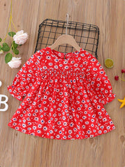 Baby Girls Floral Shirred Puffy Long Sleeve Dress