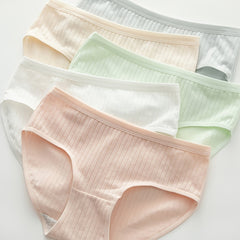 5pcs Ribbed Briefs Mid Rise Stretchy Intimates Panties Women's Lingerie