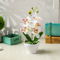 Orchid Bonsai with Pot Simulation Flower for Home Decor