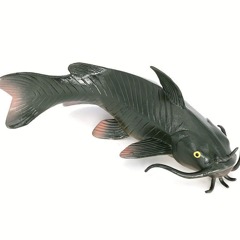 Animal Models Freshwater Fish Catfish Bearded