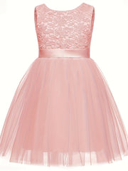 Flower Girls' Evening Dress Tutu Ball Gown