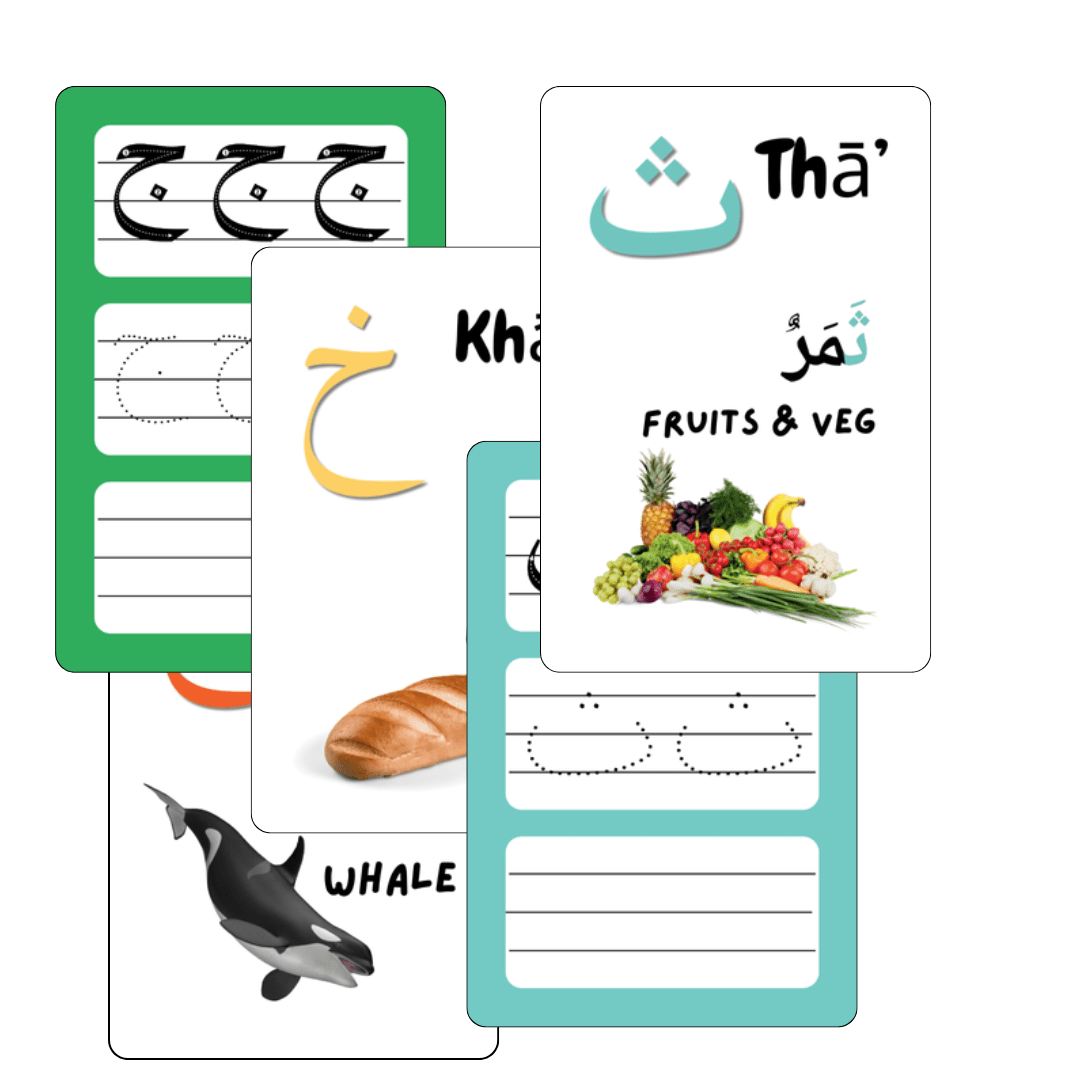 Arabic Alphabet Learning Kit Flashcards Marker Activity Cards