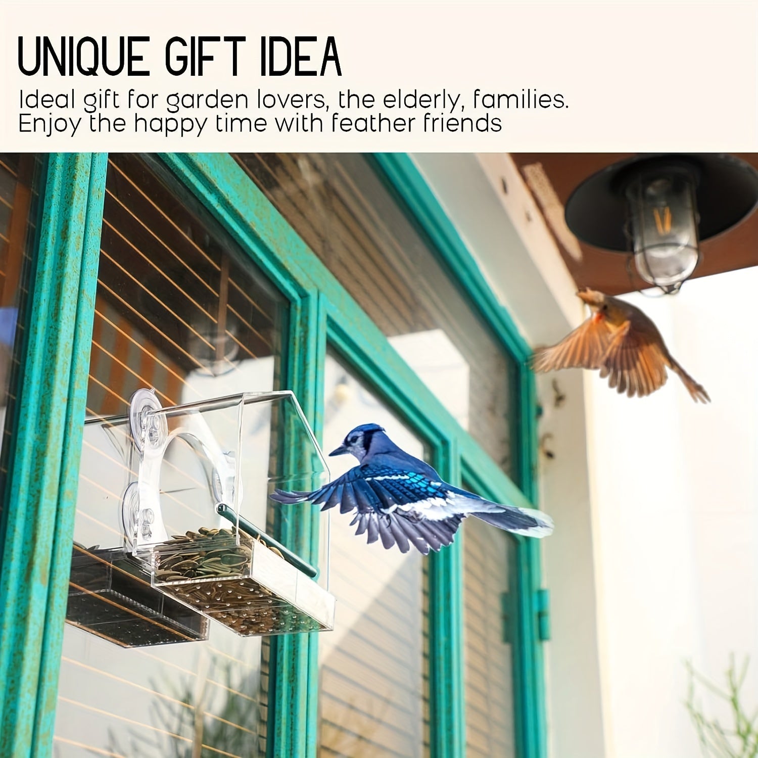 Window Bird Feeder Acrylic Bird House Detachable Food Tray Easy Install
