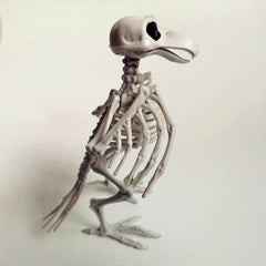 Halloween Crow Skeleton Venue Props