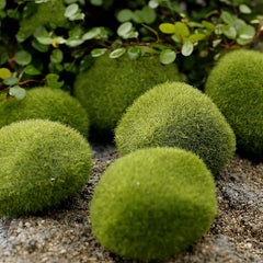 1Pc Fairy Garden Stone Moss Micro Landscape Bonsai DIY Decor Ornament