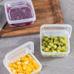 Plastic Cheese Storage Container for Freshness