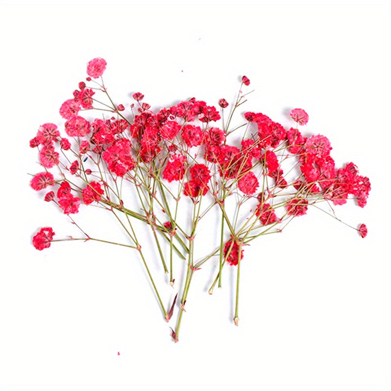 10 Pcs Natural Gypsophila Bouquet for Decor & Photography