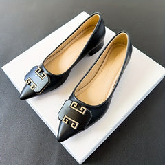 Women's Chunky Low Heels Pointed Toe Slip On Shoes