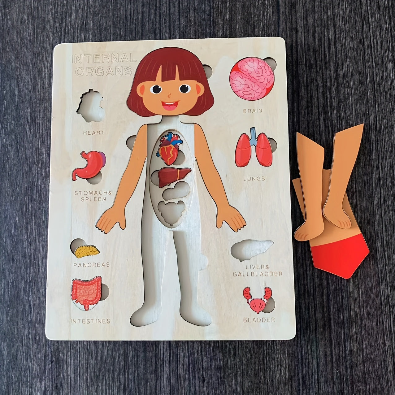 Wooden Human Body Puzzle for Kids Educational Toy