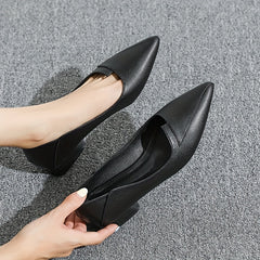 Women's Pointed Toe Low Heels Slip On Shoes Casual Work Shoes