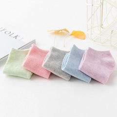 10 Pairs Women's Cotton No Show Socks