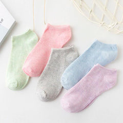 10 Pairs Women's Cotton No Show Socks