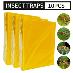 Fruit Fly & Slime Traps - Set of 50 - Home Garden Farm Insect
