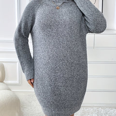  Solid Long Sleeve Turtle Neck Sweater Dress
