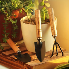 3pc Garden Tool Set Rake Shovel Succulent Mini Flower Aluminum