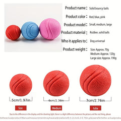 Durable Rubber Dog Toy for Outdoor Play and Training