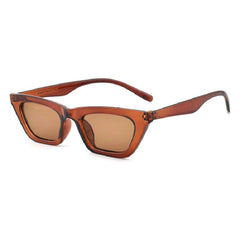 Small Frame Cat Eye Plastic Sunglasses
