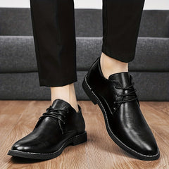Men's Pointed Toe Lace Up Derby Shoes Business Formal Wear