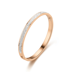 Inlaid Diamond Stainless Steel Unisex Bangle Bracelet