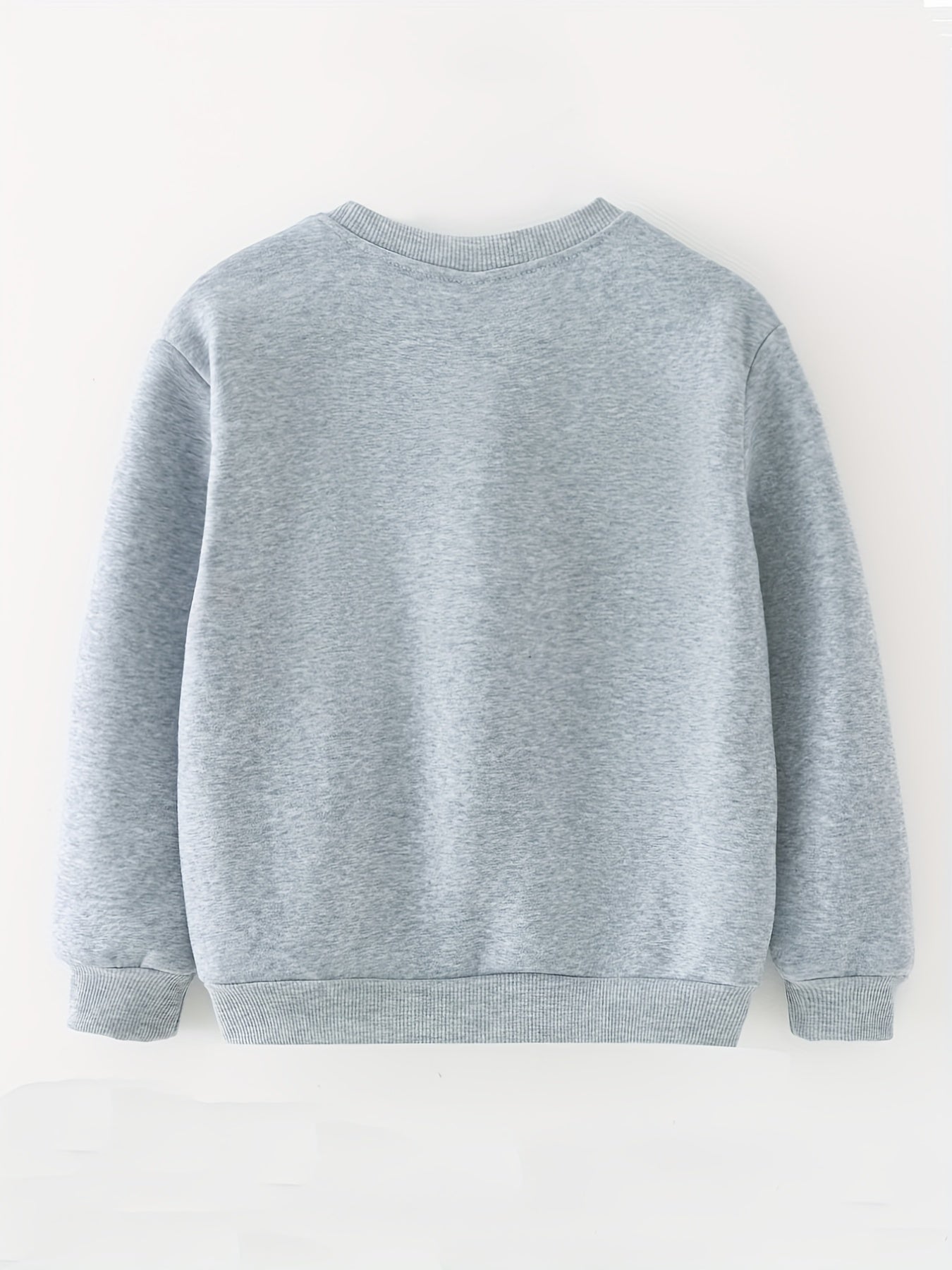 Boys Letter Graphic Sweatshirt Spring Fall