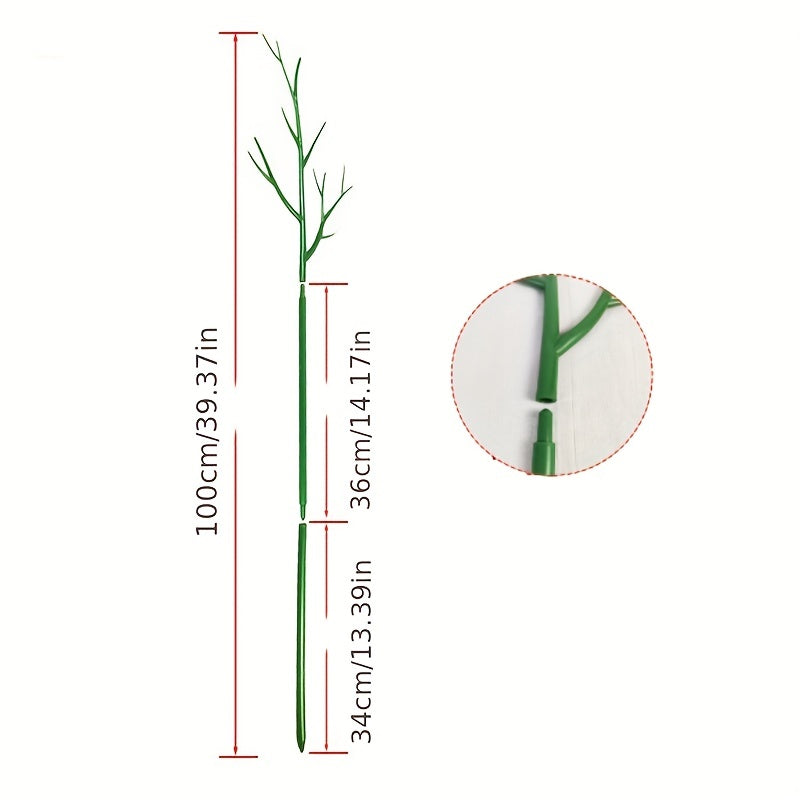 Plant Large Bracket Turtle Back Leaf Clematis Climbing Rattan Frame