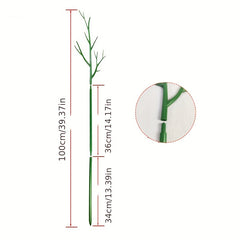 Plant Large Bracket Turtle Back Leaf Clematis Climbing Rattan Frame