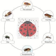 Ladybug Fly Catcher Window Stickers  30pcs