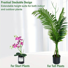 Plant Large Bracket Turtle Back Leaf Clematis Climbing Rattan Frame