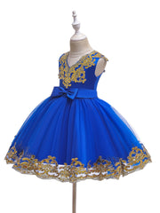 Girls Sequin Embroidery Mesh Princess Dress for Piano Performance Wedding