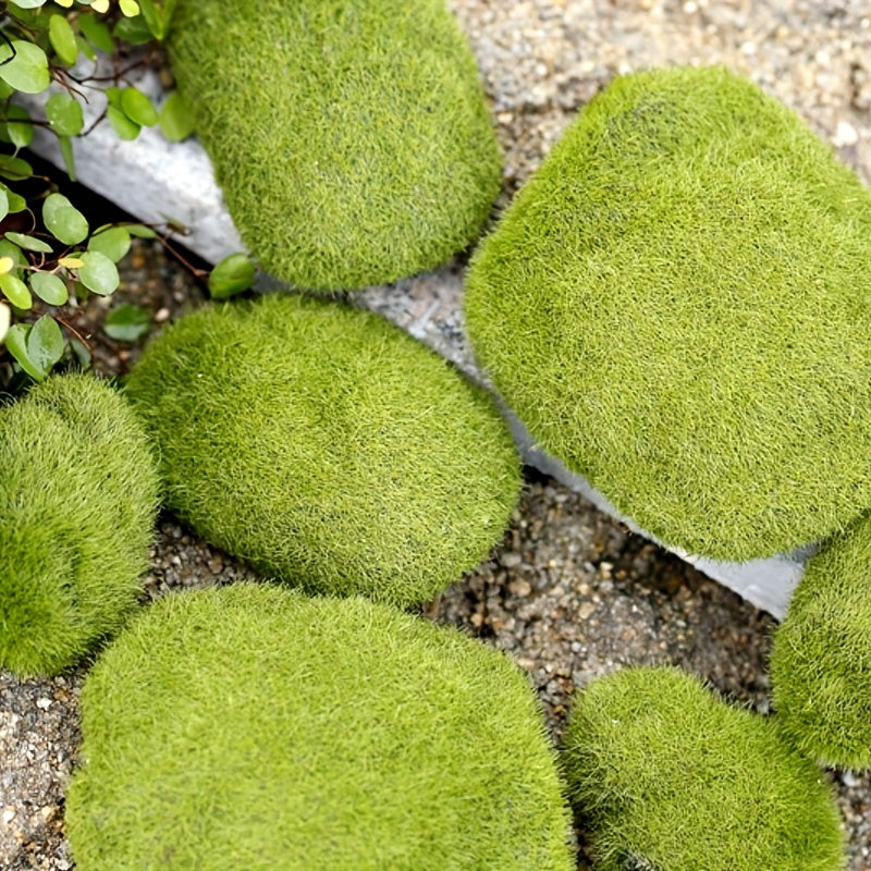 1Pc Fairy Garden Stone Moss Micro Landscape Bonsai DIY Decor Ornament