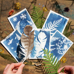 Sun Material Kit With Tools Sun Paper Plant Material Sun Jacket Manual Kit