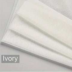 Ivory Cathedral Bridal Veil Lace Floral Edge