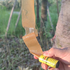 Effective Fly Trap Paper for Fruit Flies, Bugs, and Mosquitoes