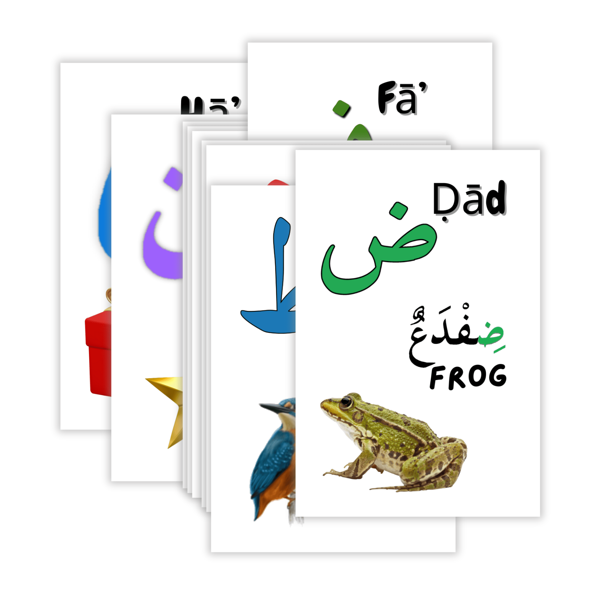 Arabic Alphabet Learning Kit Flashcards Marker Activity Cards