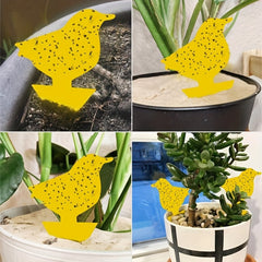 Double Sided Yellow Sticky Insect Board Fly Trap for Plants