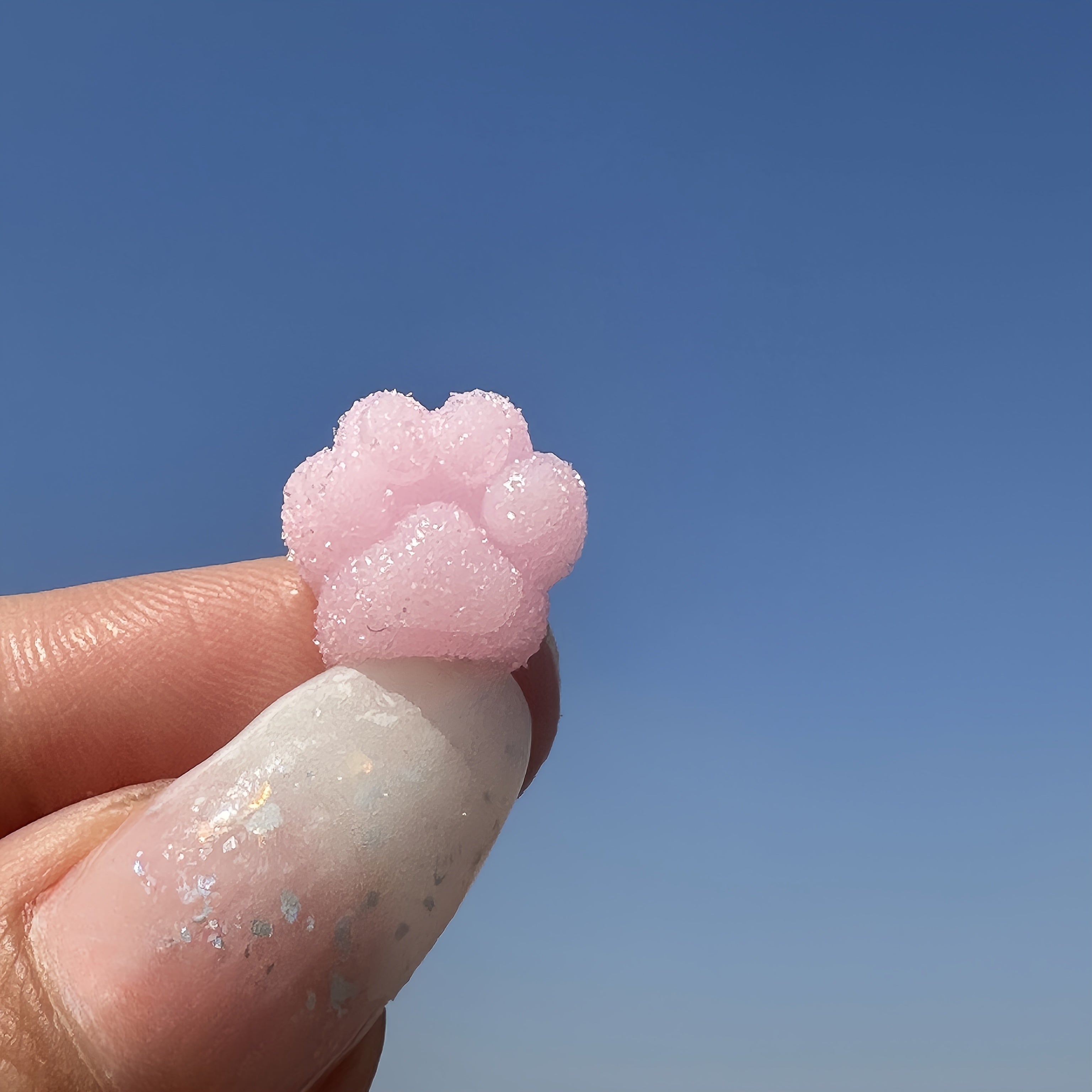 Mini Cat Paws Soft Kitten Paws Fidget Squeeze Toys Novelty Toys