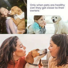 Pet Anti Itch Spray Soothes and Cleanses for Dogs and Cats
