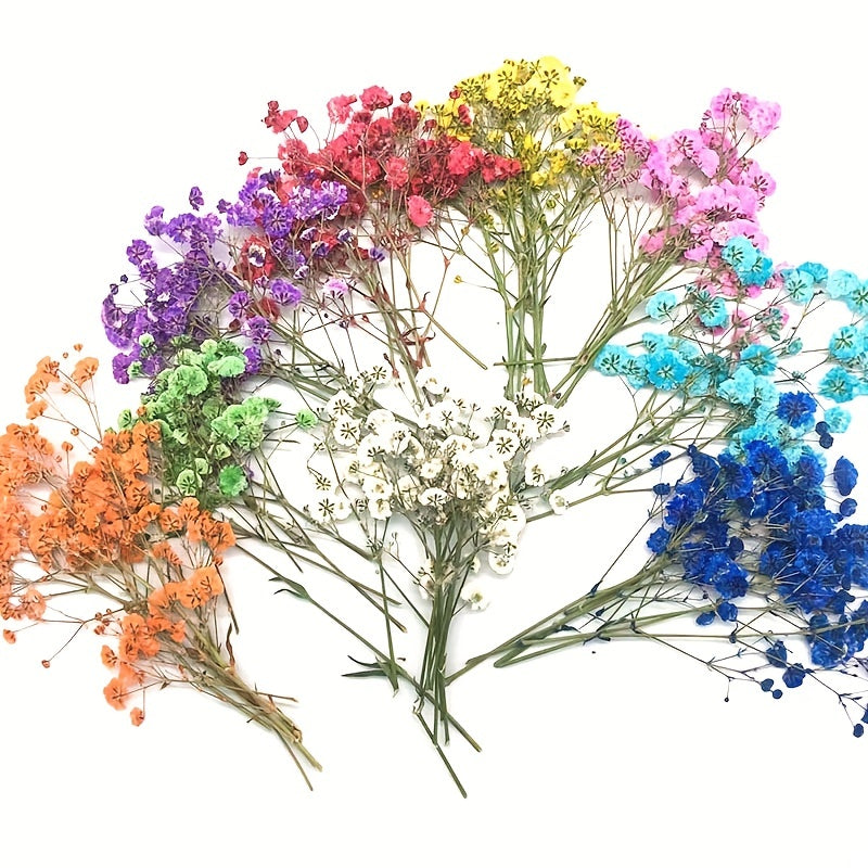 10 Pcs Natural Gypsophila Bouquet for Decor & Photography