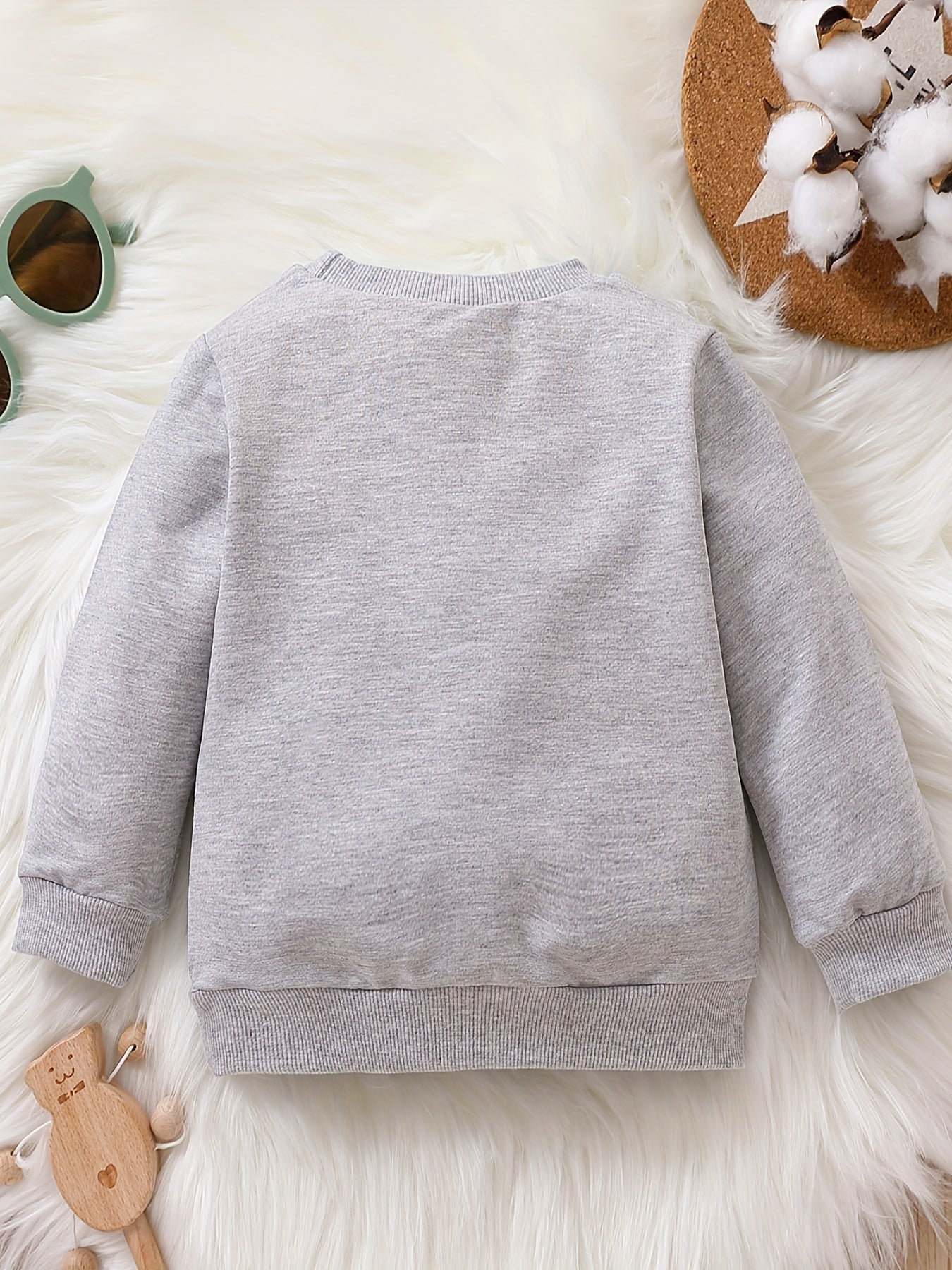 Baby Boy's Graphic Long Sleeve Crew Neck Sweatshirt