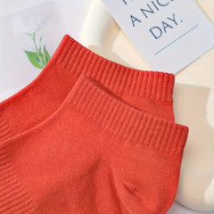 10 Pairs Women's Soft Lightweight Short Ankle Socks Solid Low Cut Stockings