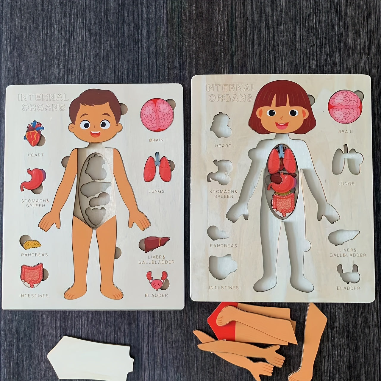 Wooden Human Body Puzzle for Kids Educational Toy