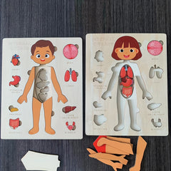 Wooden Human Body Puzzle for Kids Educational Toy