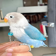 Peony Cockatiel Neck Cover Stainless Steel Chain
